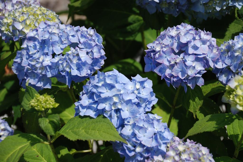 אסטן B&B Leendershoeve In Heusden מראה חיצוני תמונה