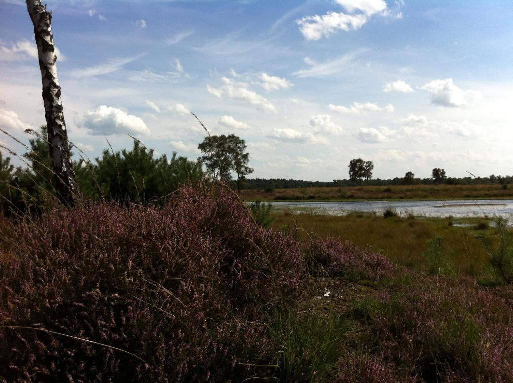 אסטן B&B Leendershoeve In Heusden מראה חיצוני תמונה