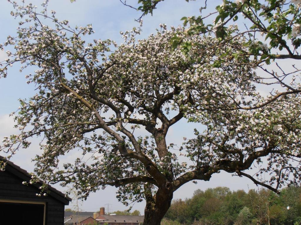 אסטן B&B Leendershoeve In Heusden מראה חיצוני תמונה