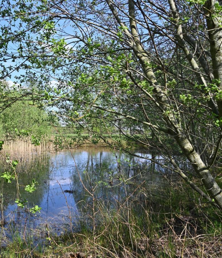 אסטן B&B Leendershoeve In Heusden מראה חיצוני תמונה